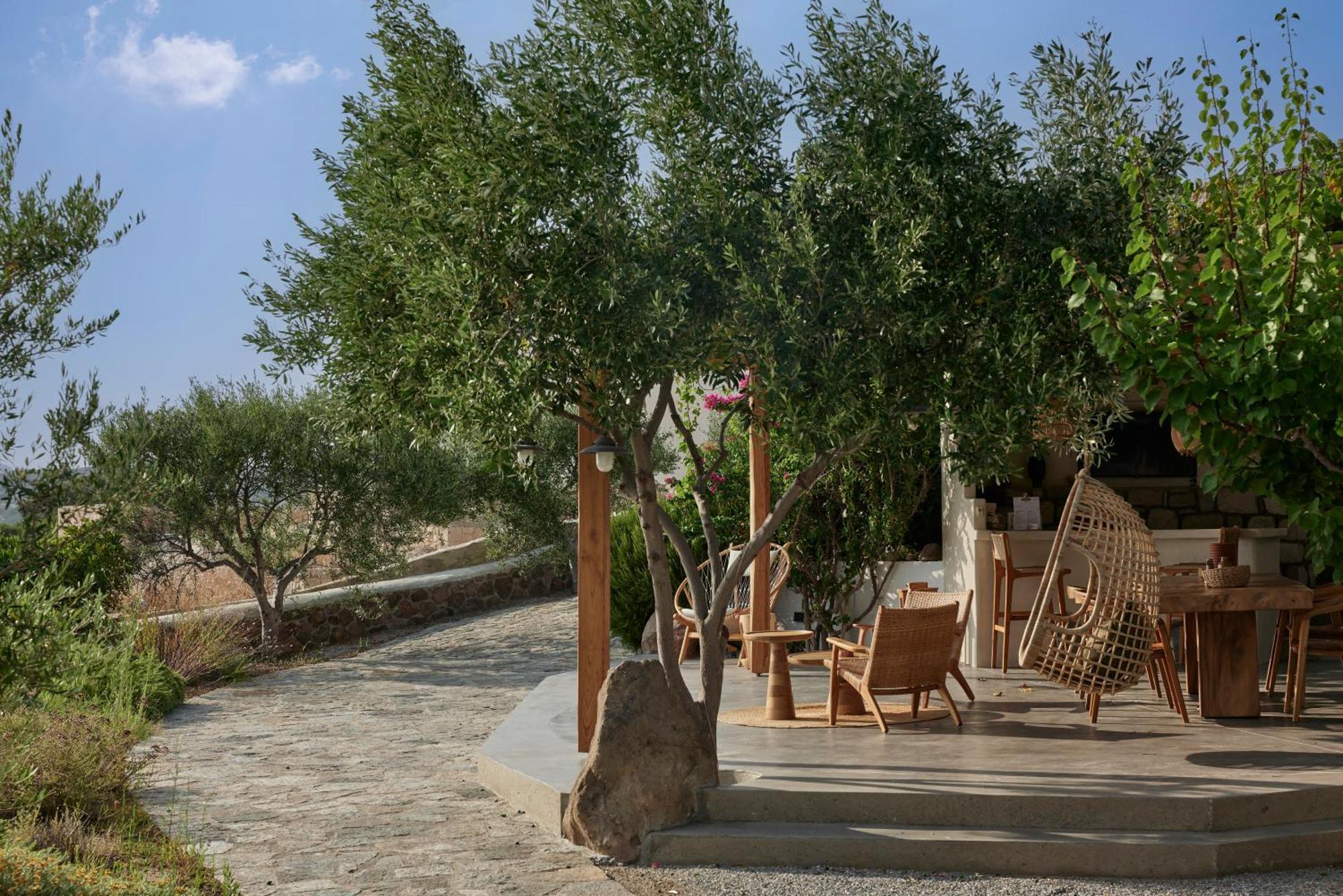 Ferienwohnung Iliana Olive Branch Adamantas  Exterior foto